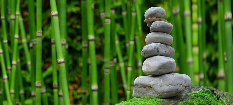 Zen Garden Trees